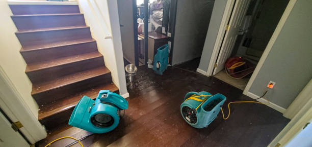 Best 24-hour water damage restoration  in La Harpe, IL