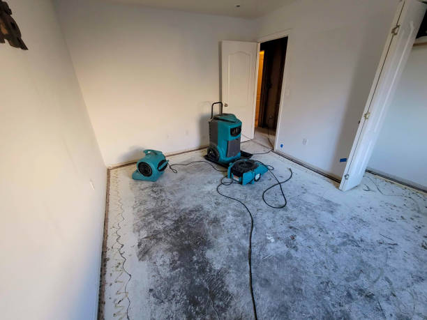 Best Sewage cleanup and water damage restoration  in La Harpe, IL